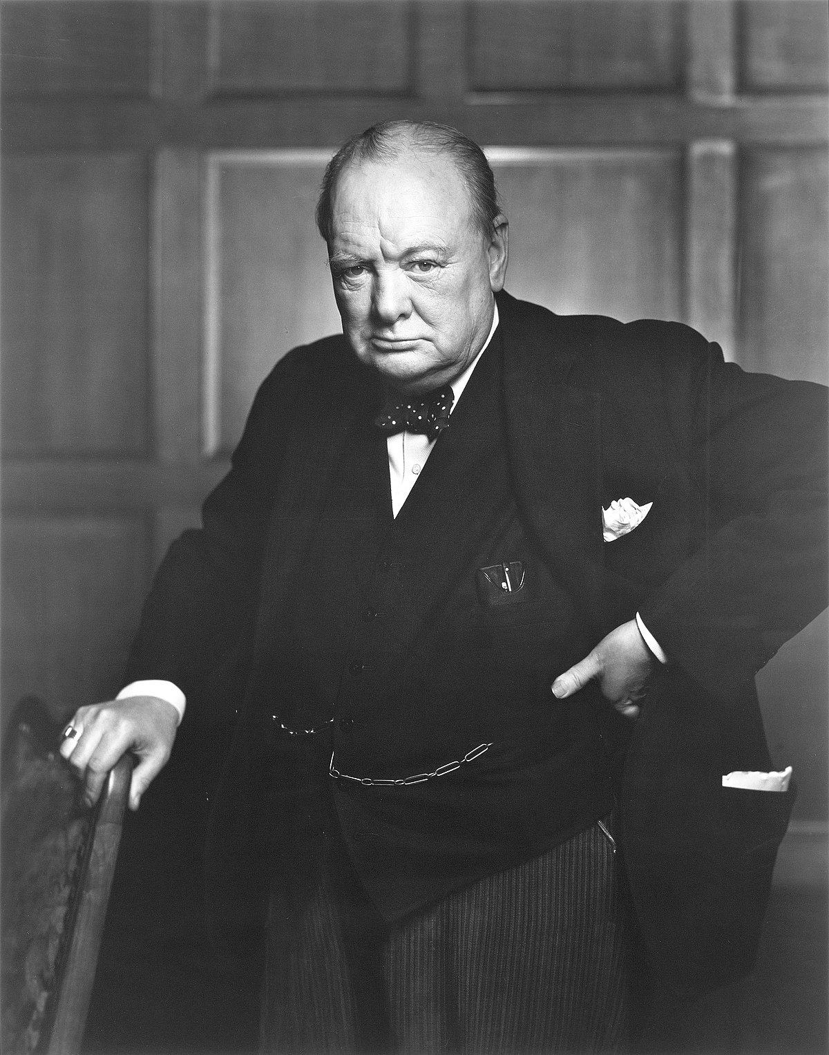 Sir Winston Churchill: A Lion Roaring Through History